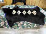 PUBLIC TIMED ONLINE AUCTION TAXIDERMY COLLECTION, BEAR, MOOSE, DEER Auction Photo