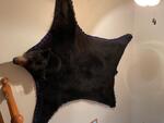 PUBLIC TIMED ONLINE AUCTION TAXIDERMY COLLECTION, BEAR, MOOSE, DEER Auction Photo