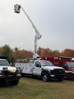 54th ANNUAL LIVE FALL CONSIGNMENT AUCTION Auction Photo