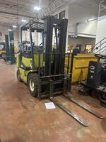 54th ANNUAL LIVE FALL CONSIGNMENT AUCTION Auction Photo