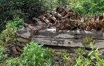 PUBLIC TIMED ONLINE AUCTION  SKIDDER, GRINDER Auction Photo