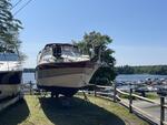 PUBLIC TIMED ONLINE AUCTION 1990 CHAPARRAL 300 SIGNATURE CABIN CRUISER Auction Photo