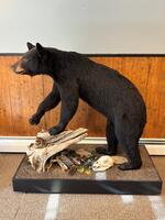 PUBLIC TIMED ONLINE AUCTION RESTAURANT, REFRIGERATION & PIZZA EQUIPMENT  Auction Photo