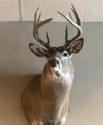 9 POINT WHITE TAIL DEER