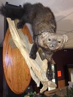 PUBLIC TIMED ONLINE AUCTION RESTAURANT, REFRIGERATION & PIZZA EQUIPMENT  Auction Photo