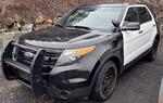 2015 FORD EXPLORER POLICE INTERCEPTOR Auction Photo
