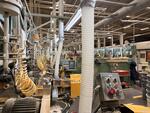 PUBLIC TIMED ONLINE AUCTION WOOD TURNING EQUIPMENT, 2022 WESTERN STAR Auction Photo
