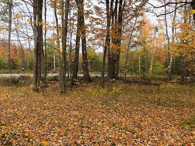 4.8+/- Acre Home Site Auction