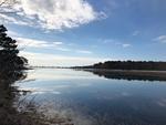 Waterfront Restaurant Re: Buffleheads at Hills Beach - .77+/- Acres Auction