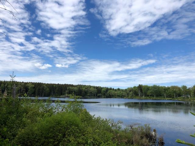 Waterfront Cottage Crystal Pond Auction