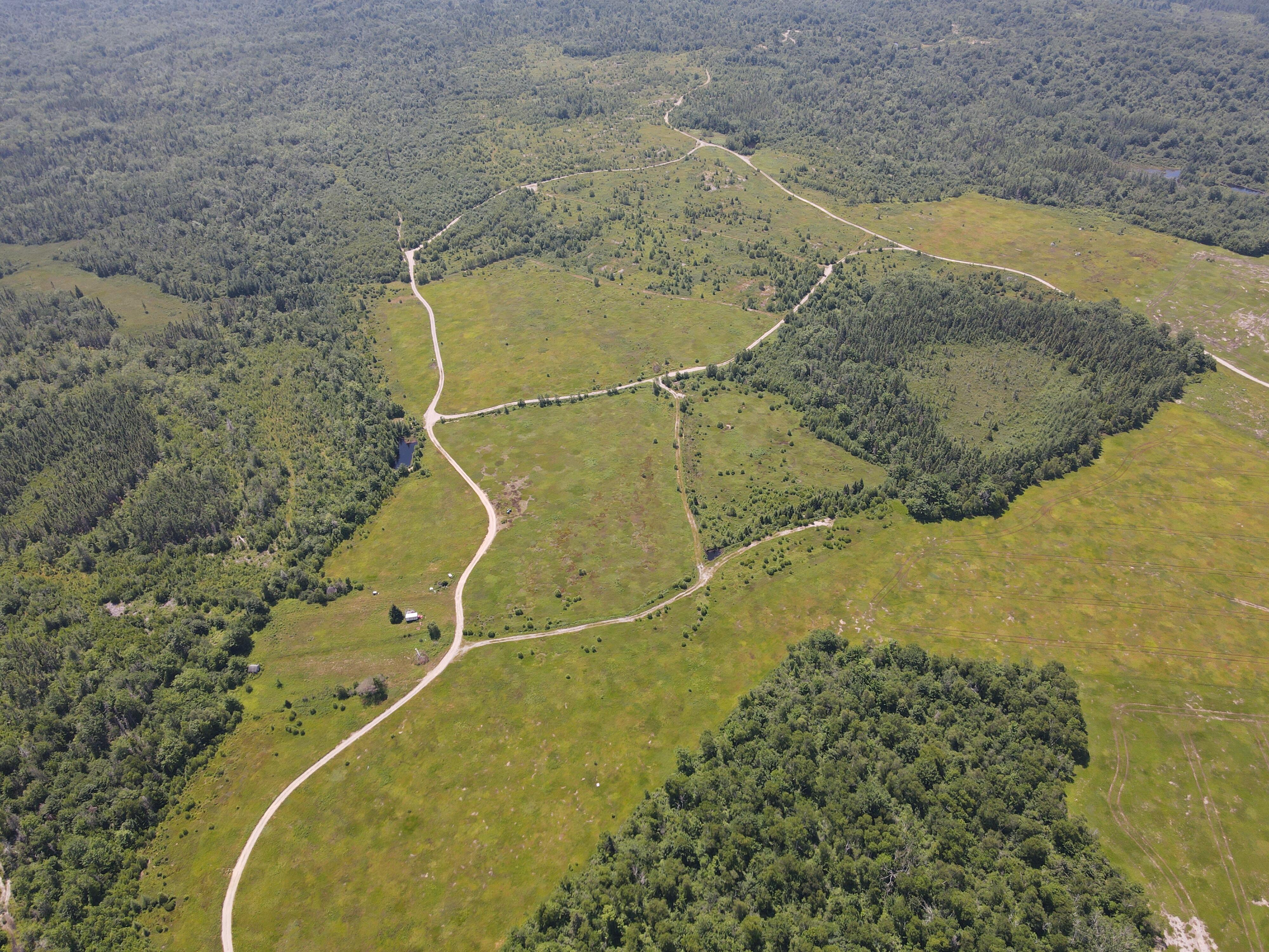 226+/- Acre Blueberry Farm - 3BR Farmhouse/Office - Large Barn/Production Building  Auction