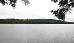 Custom Waterfront Home  McWain Pond  - SOLD $550,000 Auction Photo
