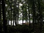 Custom Waterfront Home McWain Pond - SOLD $550,000 Auction Photo