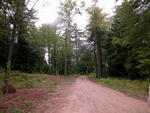 Custom Waterfront Home McWain Pond - SOLD $550,000 Auction Photo