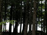 Custom Waterfront Home McWain Pond - SOLD $550,000 Auction Photo