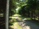Sporting Camps & Campground - St. Froid Lake Camps Auction Photo