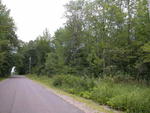 63± Acre Parcel Water Frontage Auction Photo