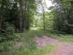 63± Acre Parcel Water Frontage Auction Photo