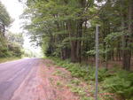 63&plusmn; Acre Parcel  Water Frontage  Auction Photo