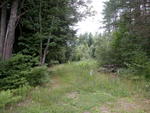 63&plusmn; Acre Parcel  Water Frontage  Auction Photo