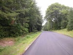 63± Acre Parcel Water Frontage Auction Photo