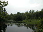 63&plusmn; Acre Parcel  Water Frontage  Auction Photo