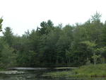 63± Acre Parcel Water Frontage Auction Photo