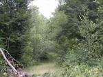 63± Acre Parcel Water Frontage Auction Photo