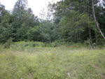 63± Acre Parcel Water Frontage Auction Photo