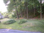 Cape Style Home Auction Photo