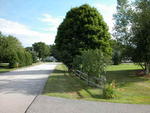 Executive Home and Contents Auction Photo