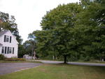 Village Home ~ Workshop Barn ~ 2.53&plusmn; Acres Auction Photo