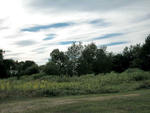 Village Home ~ Workshop Barn ~ 2.53&plusmn; Acres Auction Photo