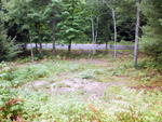 Single Family Home Auction Photo