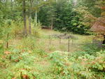 Single Family Home Auction Photo