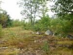 Single Family Home Auction Photo