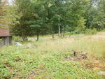 Single Family Home Auction Photo