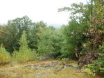 Single Family Home Auction Photo