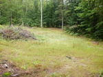 Single Family Home Auction Photo