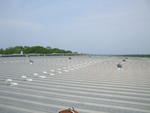 262,560+/- S.F. State of the Art Distribution Facility Auction Photo
