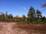 945+/- Acres - Quarry - Gravel Pit - Development Land - Woodlands - Home Auction Photo