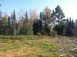 945+/- Acres - Quarry - Gravel Pit - Development Land - Woodlands - Home Auction Photo