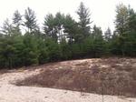 108 Lot Residential Subdivision ~ 530+/- Acres Auction Photo