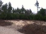 108 Lot Residential Subdivision ~ 530+/- Acres Auction Photo