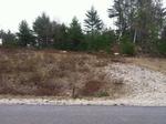 108 Lot Residential Subdivision ~ 530+/- Acres Auction Photo