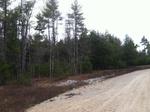 108 Lot Residential Subdivision ~ 530+/- Acres Auction Photo