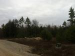 108 Lot Residential Subdivision ~ 530+/- Acres Auction Photo