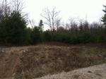 108 Lot Residential Subdivision ~ 530+/- Acres Auction Photo