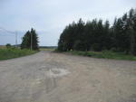 33+/- Acres - Outbuildings Auction Photo