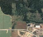 61.8+/- Acres Auction Photo
